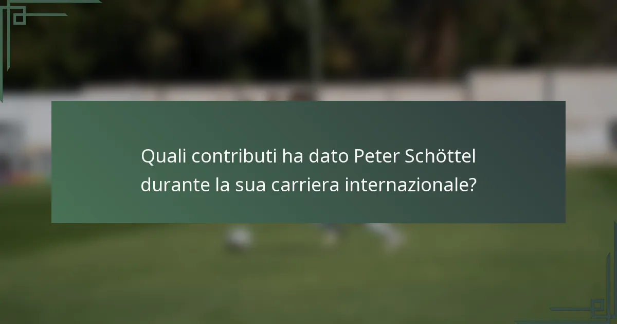 Quali contributi ha dato Peter Schöttel durante la sua carriera internazionale?